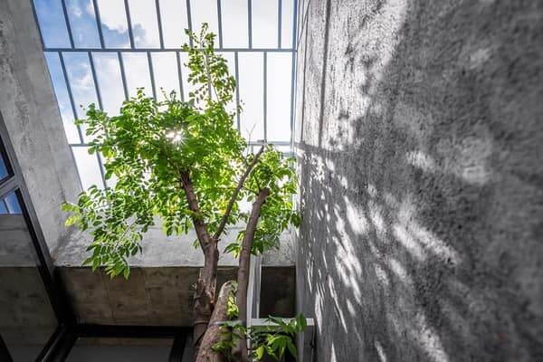 236722507 227702432576400 6151631735930991166 N